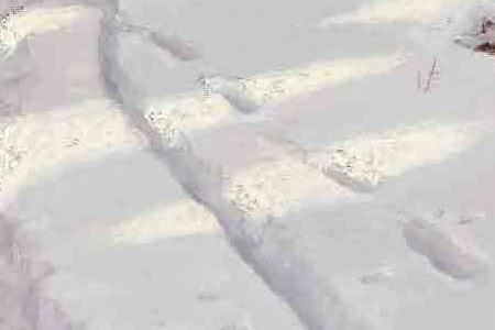 Фрагмент РАННЕЕ СОЛНЦЕ В ДОФИНЕ