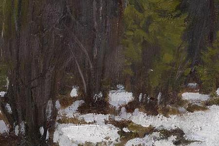 Фрагмент Раняя весна, проталина