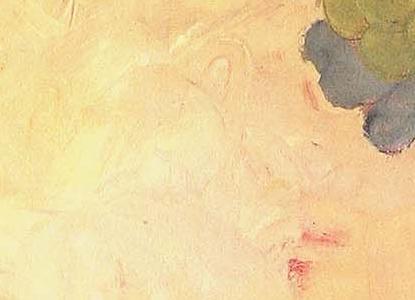 Фрагмент Raspberry Peonies