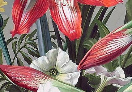 Фрагмент Red and White