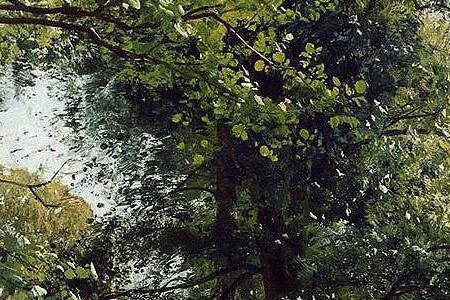 Фрагмент Reflections of Spring