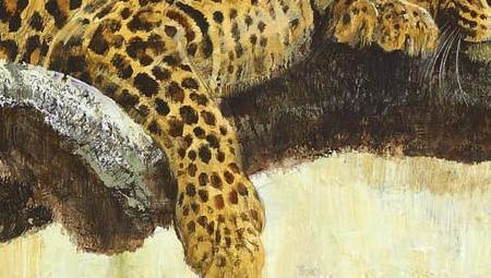 Фрагмент Reprieve from the Heat