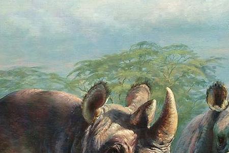 Фрагмент Rhino in the bush Mount Kilimanjaro