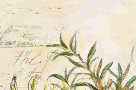 Фрагмент ROSEMARY