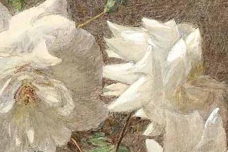 Фрагмент ROSES BLANCHES DANS UNE CRUCHE