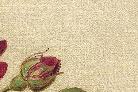 Фрагмент ROSES FONC ES