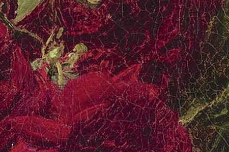 Фрагмент ROSES FONC ES