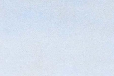 Фрагмент Рожь. 1878.