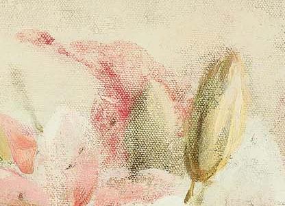 Фрагмент Розовые лилии