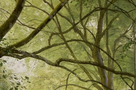 Фрагмент Ручей посреди леса