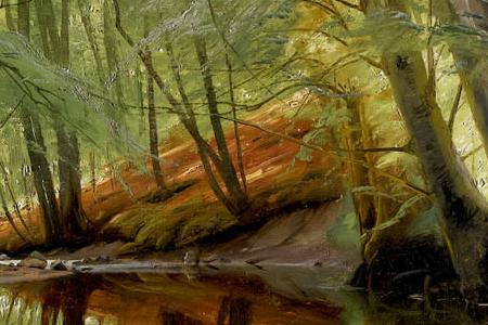 Фрагмент Ручей посреди леса