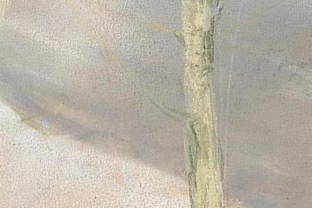 Фрагмент RUSSIAN VILLAGE IN WINTER