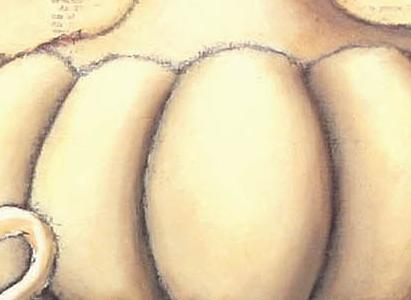 Фрагмент Salon de tea