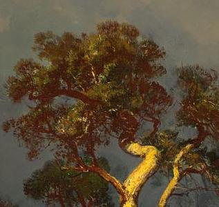 Фрагмент SANDY COASTLINE