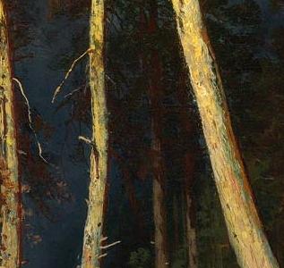 Фрагмент SANDY COASTLINE