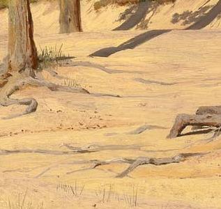 Фрагмент SANDY COASTLINE