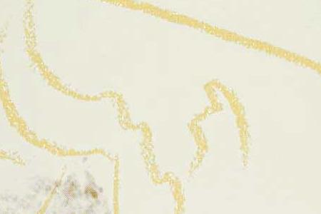 Фрагмент SANTA CLAUS золотой