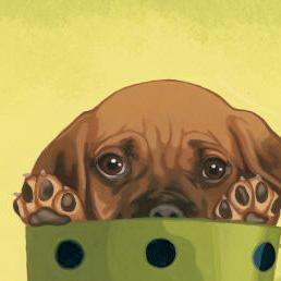 Фрагмент Сапоги в горошек