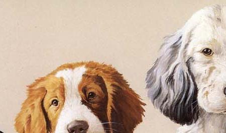 Фрагмент School Daze