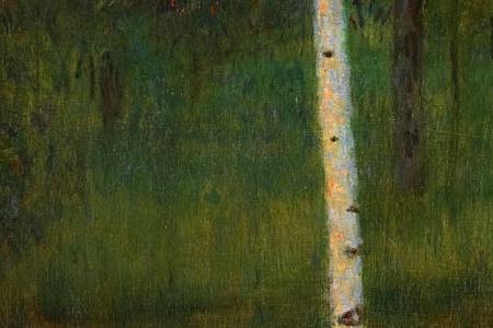 Фрагмент SEEUFER MIT BIRKEN LAKESHORE