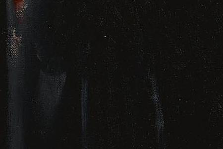 Фрагмент SELF PORTRAIT AFTER SWANNELL