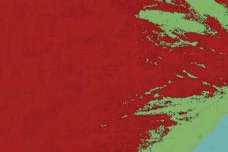 Фрагмент SELF-PORTRAIT красно голубой