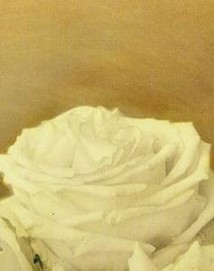 Фрагмент Серебрянный графин с белыми розами II