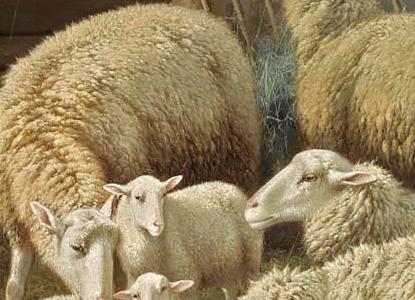 Фрагмент SHEEP AND CHICKENS IN A BARN