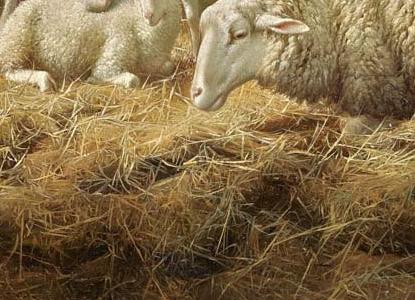 Фрагмент SHEEP AND CHICKENS IN A BARN