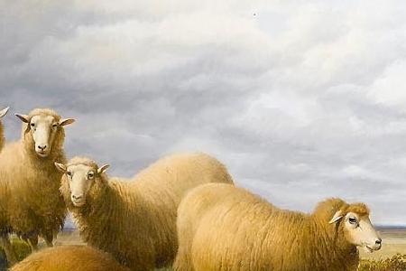 Фрагмент Sheep in a landscape