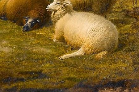 Фрагмент Sheep in a landscape