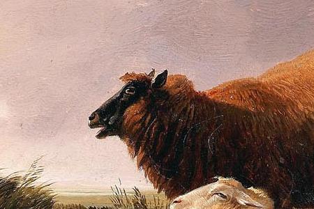 Фрагмент Sheep in the highlands