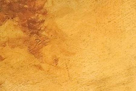 Фрагмент Shiraz Vineyard.