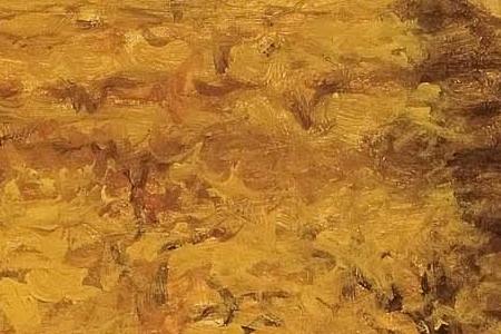 Фрагмент Shiraz Vineyard.