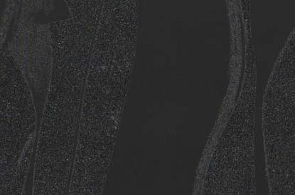 Фрагмент SHOES негатив