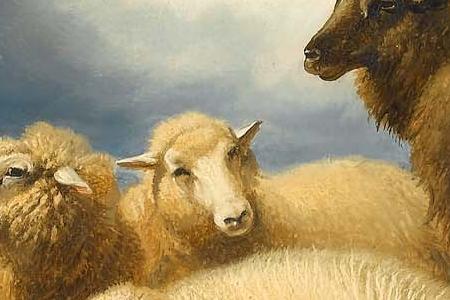 Фрагмент Showers