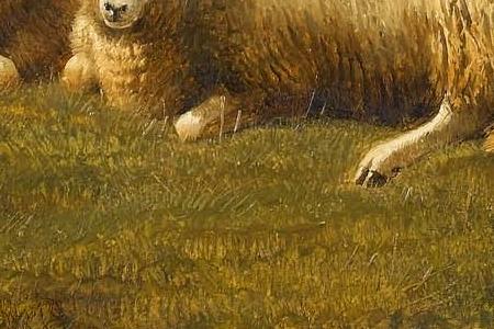 Фрагмент Showers