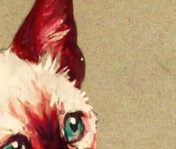 Фрагмент Siamese cat