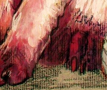 Фрагмент Siamese cat