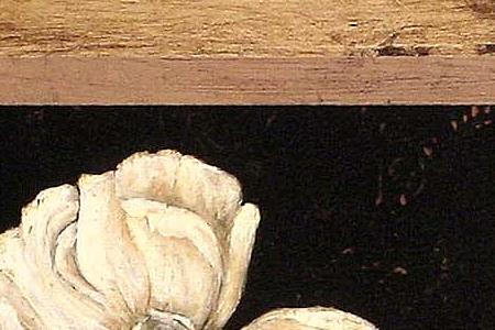 Фрагмент Silver Iris