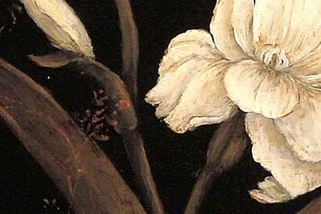 Фрагмент Silver Iris