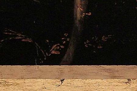 Фрагмент Silver Iris