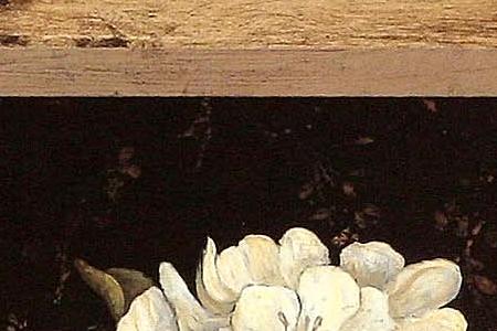 Фрагмент Silver  Rhododendron