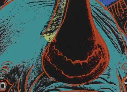 Фрагмент СИНЕ ЗЕЛЕНЫЙ НОСОРОГ