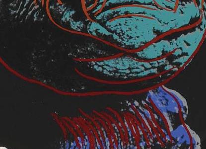 Фрагмент СИНЕ ЗЕЛЕНЫЙ НОСОРОГ