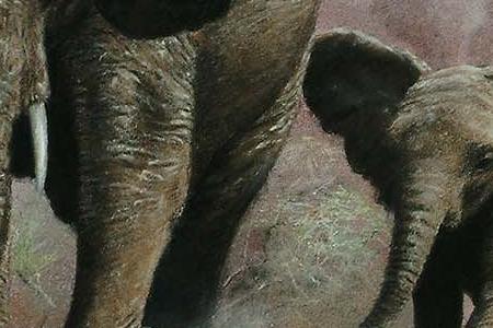 Фрагмент Слон и слоненок