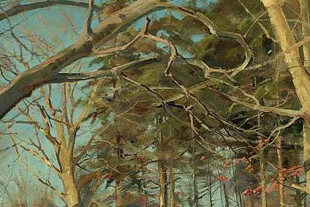 Фрагмент SNOWY LANDSCAPE