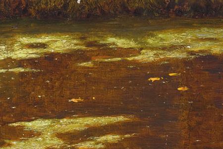 Фрагмент Солнечный полдень