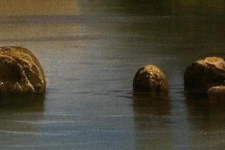 Фрагмент Сорренто. 1855.