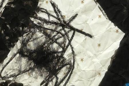 Фрагмент Сова